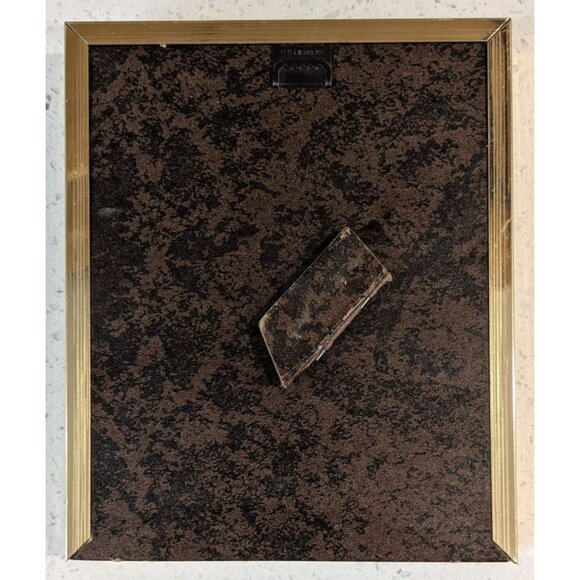 Sand Dollar Nautical Shell Art Betty Shepard Shadow Box Frame Seahorse & Starfis - Picture 3 of 11